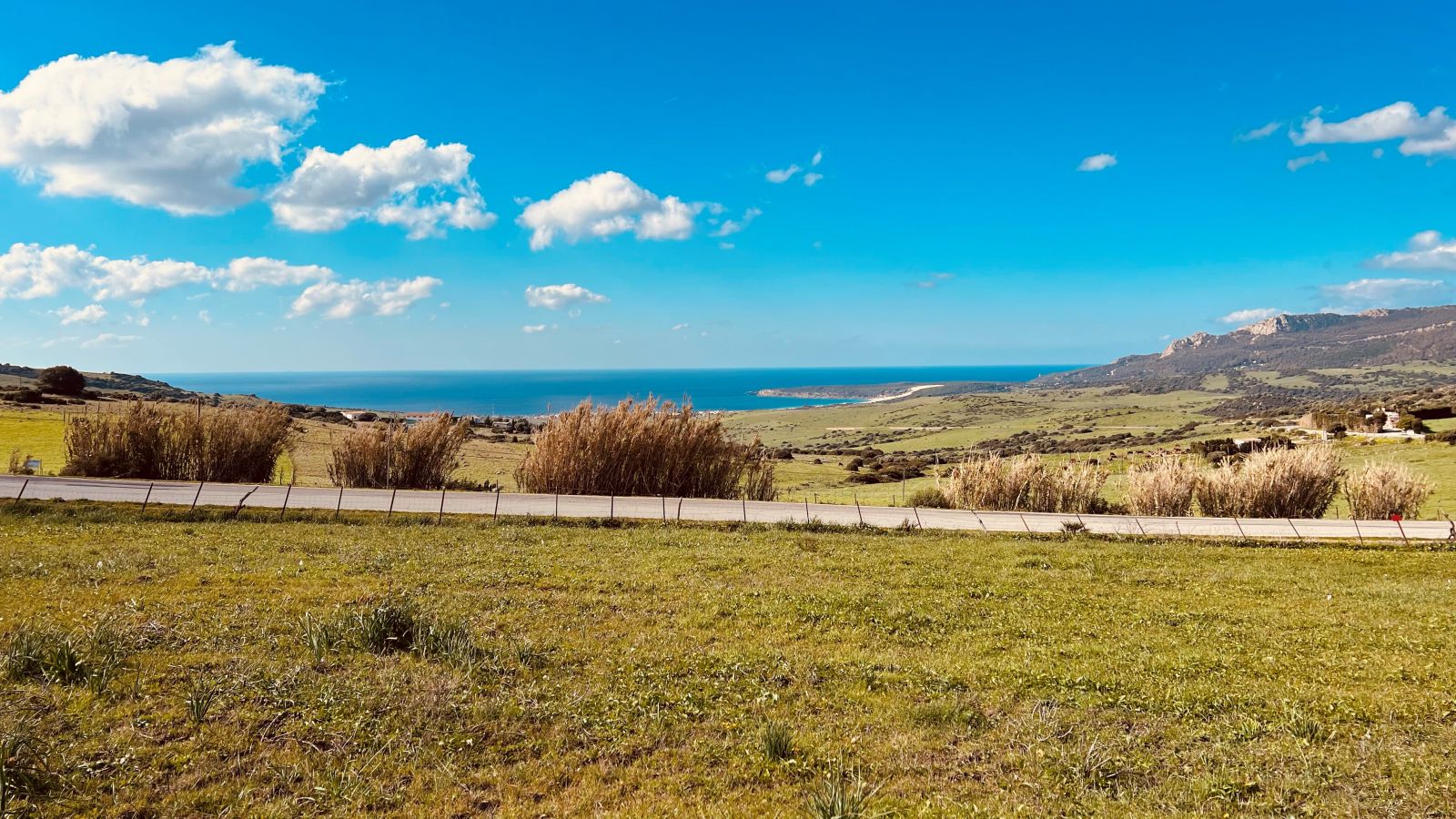 Der Gelbliche Streifen ist die Wanderdüne die den Pinienwald vereinnahmt, an der Küste Bolonia.