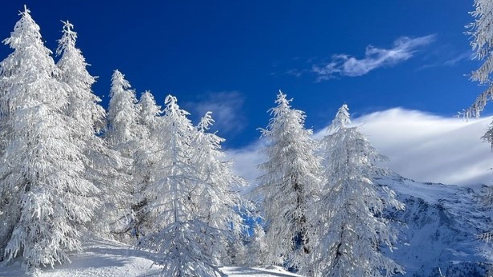Winter Wonder- Switzerland